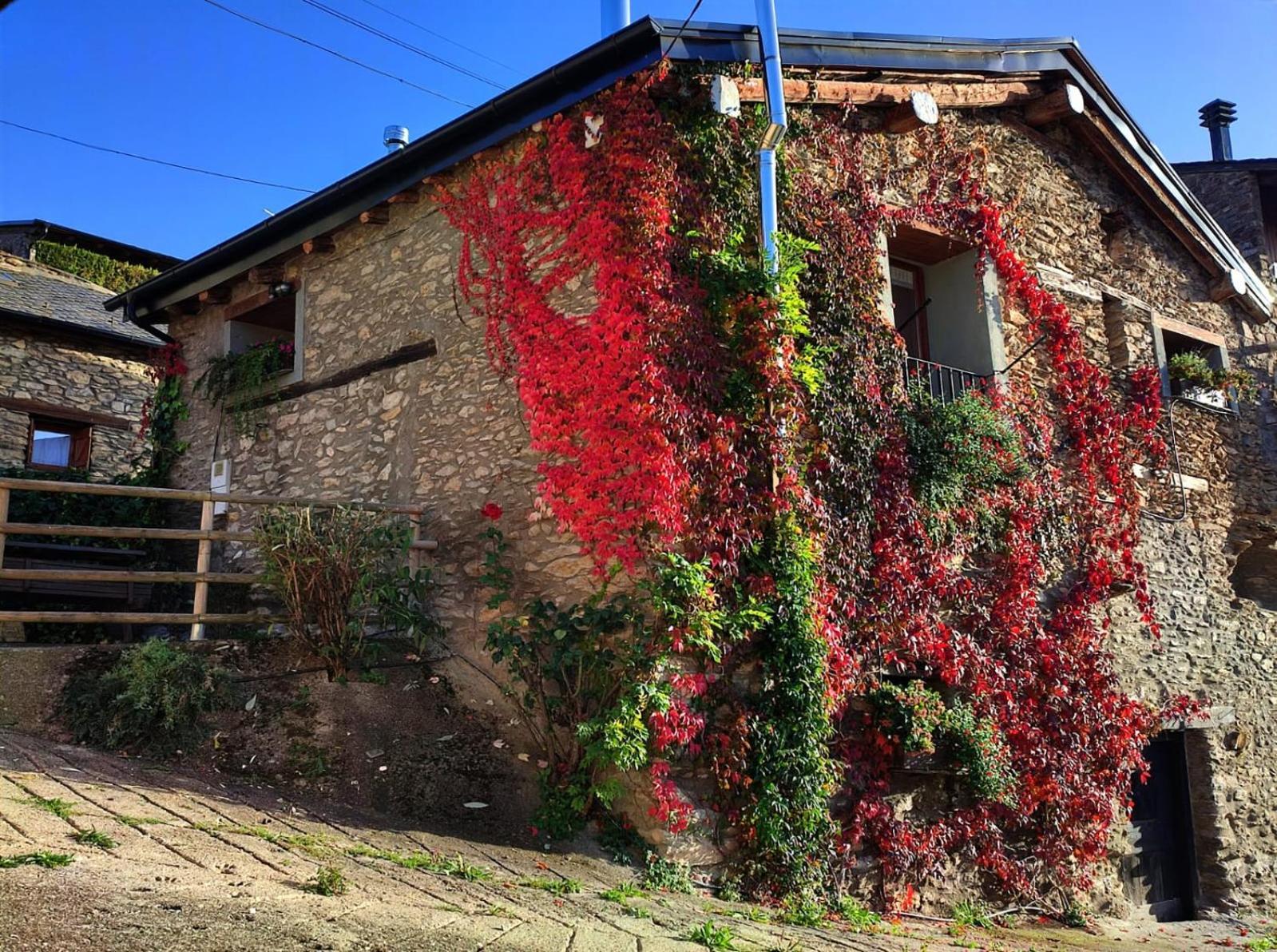 Cal Gerard - Arcavell Guest House Exterior foto